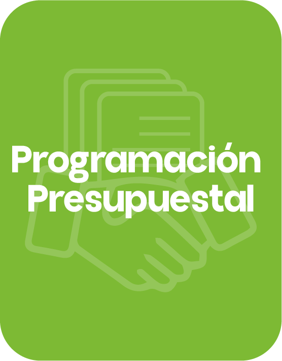 Programación Presupuestal